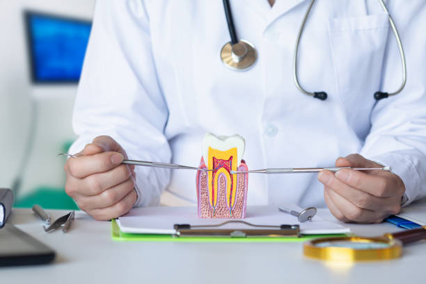 Best Knocked-Out Tooth Emergency  in Burt, MI